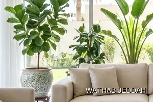 Wathab Jeddah team performing House Cleaning in Al Nuzha, Jeddah