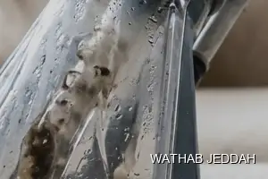 نتائج تنظيف مجالس بعد الانتهاء في حي بترومين بجدة
