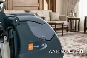 فريق وثاب جدة أثناء تنظيف قصور في حي الهنداوية بجدة