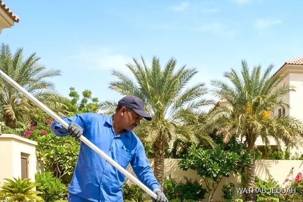 Swimming Pool Cleaning in Mushrifah