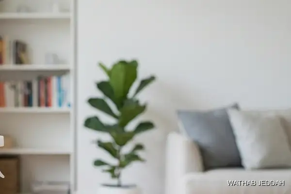 Post-Move Cleaning in Al Sabeel - Wathab Jeddah Cleaning