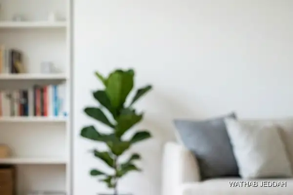 Rest House Cleaning in Al Hindawiyah, Jeddah - Wathab Jeddah Cleaning Services