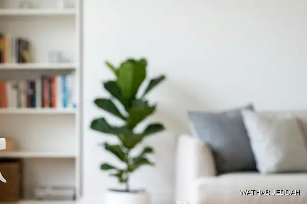Routine Cleaning in Al Sharafiyah - Wathab Jeddah Cleaning