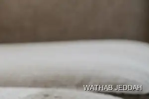 فريق وثاب جدة أثناء تنظيف كنب في حي السامر بجدة