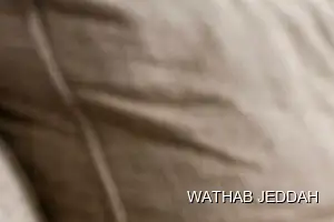 Wathab Jeddah team performing Sofa Cleaning in Al Shati, Jeddah