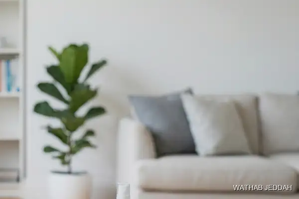 Stain & Odor Removal in Al Basateen, Jeddah - Wathab Jeddah Cleaning Services