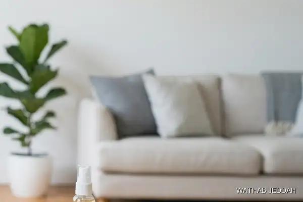 Stain & Odor Removal in Al Rabwah