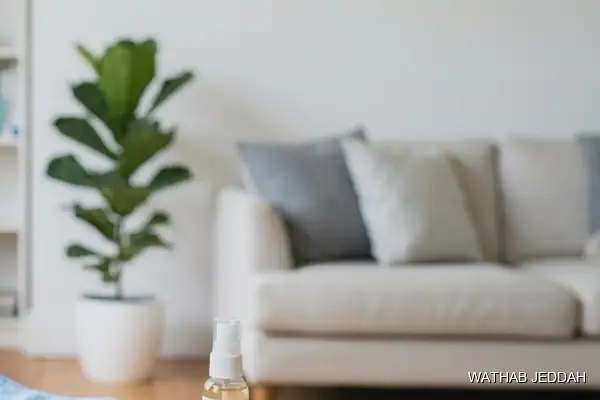 Stain & Odor Removal in Madain Al Fahd - Wathab Jeddah