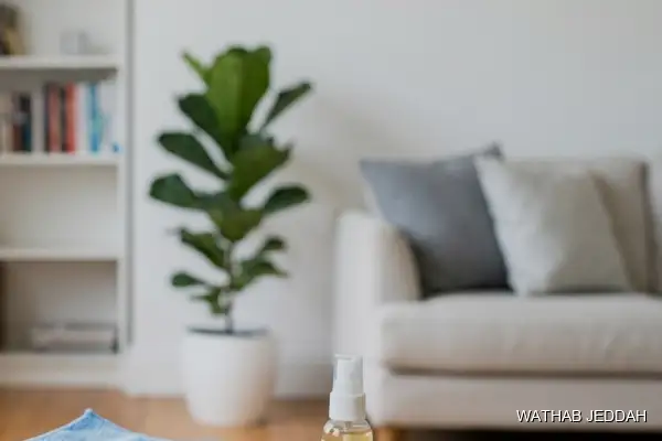 Stain & Odor Removal in Quwayzah, Jeddah - Wathab Jeddah Cleaning Services