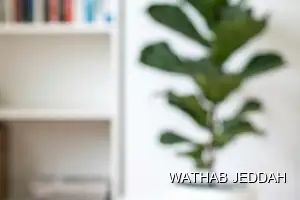 نتائج تنظيف بالبخار بعد الانتهاء في حي الخمرة بجدة