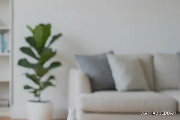 تنظيف بالبخار حي السنابل